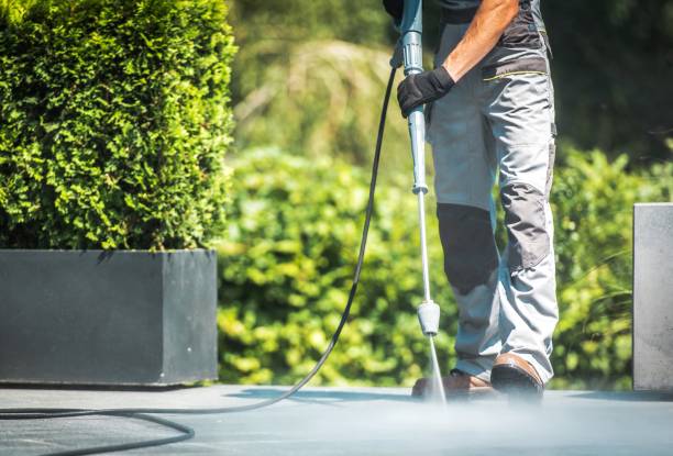 Best House Exterior Washing  in Allendale, MI